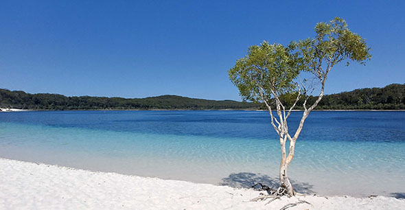 De Sydney à Cairns (ou pas), la côte est australienne