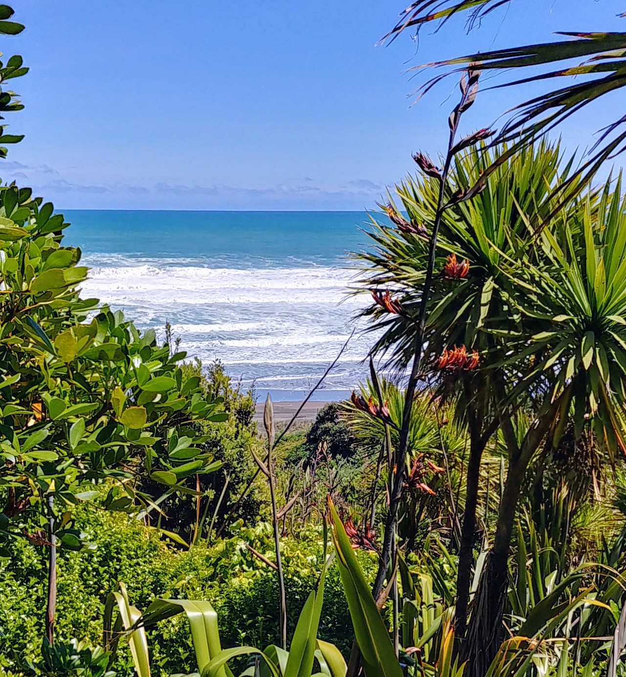 La plage (bis)
